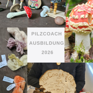 Pilzcoach Ausbildung 2026