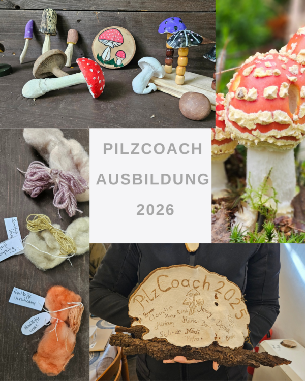 Pilzcoach Ausbildung 2026
