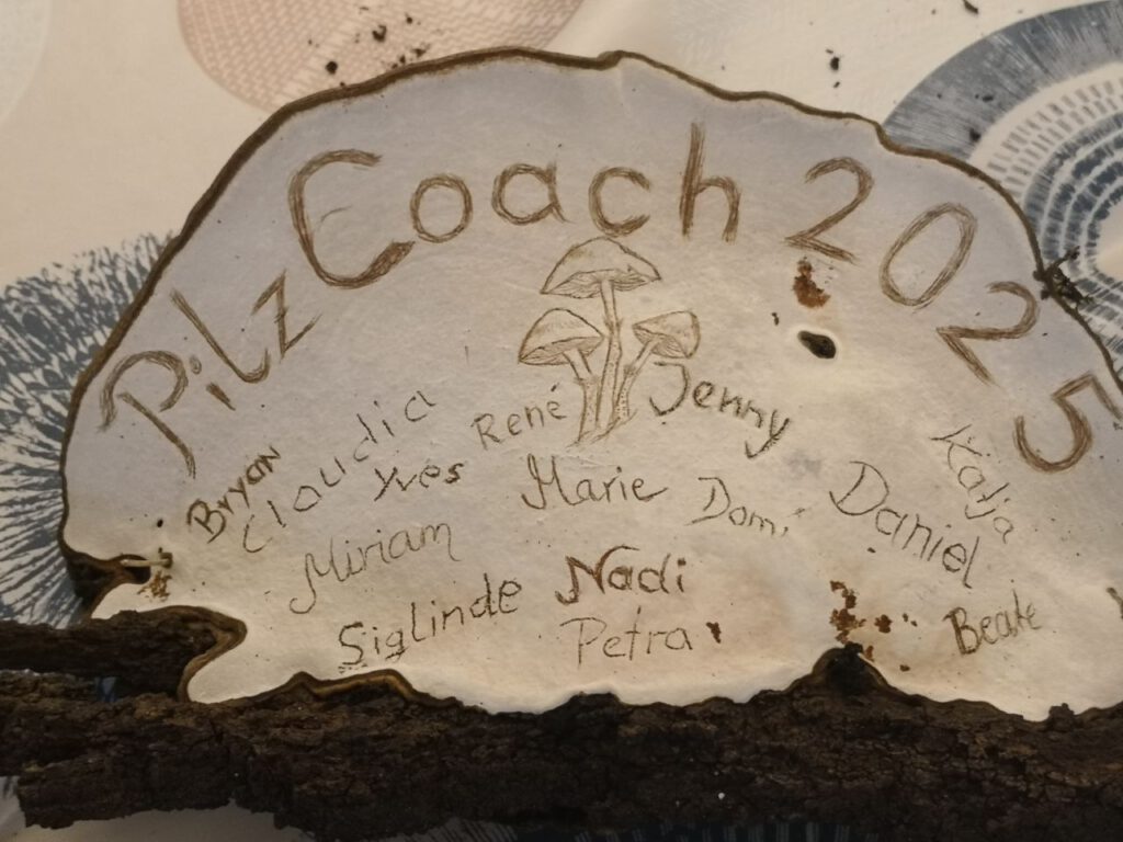 Pilzcoach Ausbildung 2025/ März