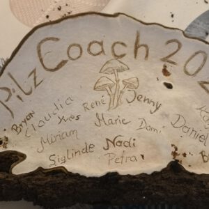 Pilzcoach Ausbildung 2026