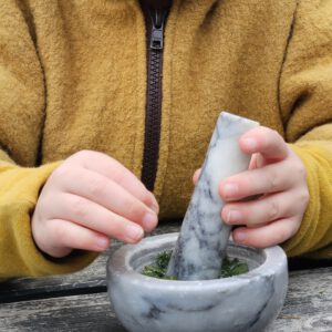 Kinder- Naturkurse Ferienangebot