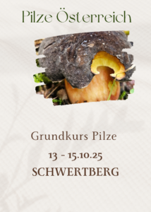 Pilze Österreich Pilzkurs Pilzschule sachsen Napikra