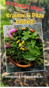 Kräuter und Pilze Leipzig 2026