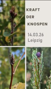 Workshop Kraft der Knospen