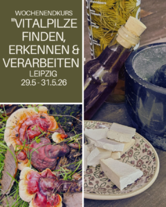 Seminar Vitalpilze finden, erkennen & verarbeiten