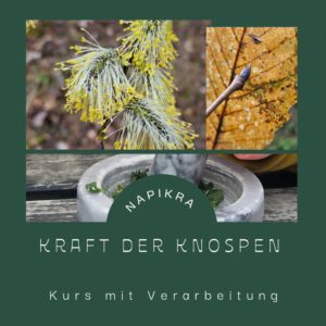 Kraft der Knospen