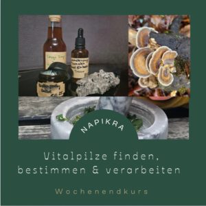 Praxis-Wochenende "Vitalpilze finden, erkennen und verarbeiten"