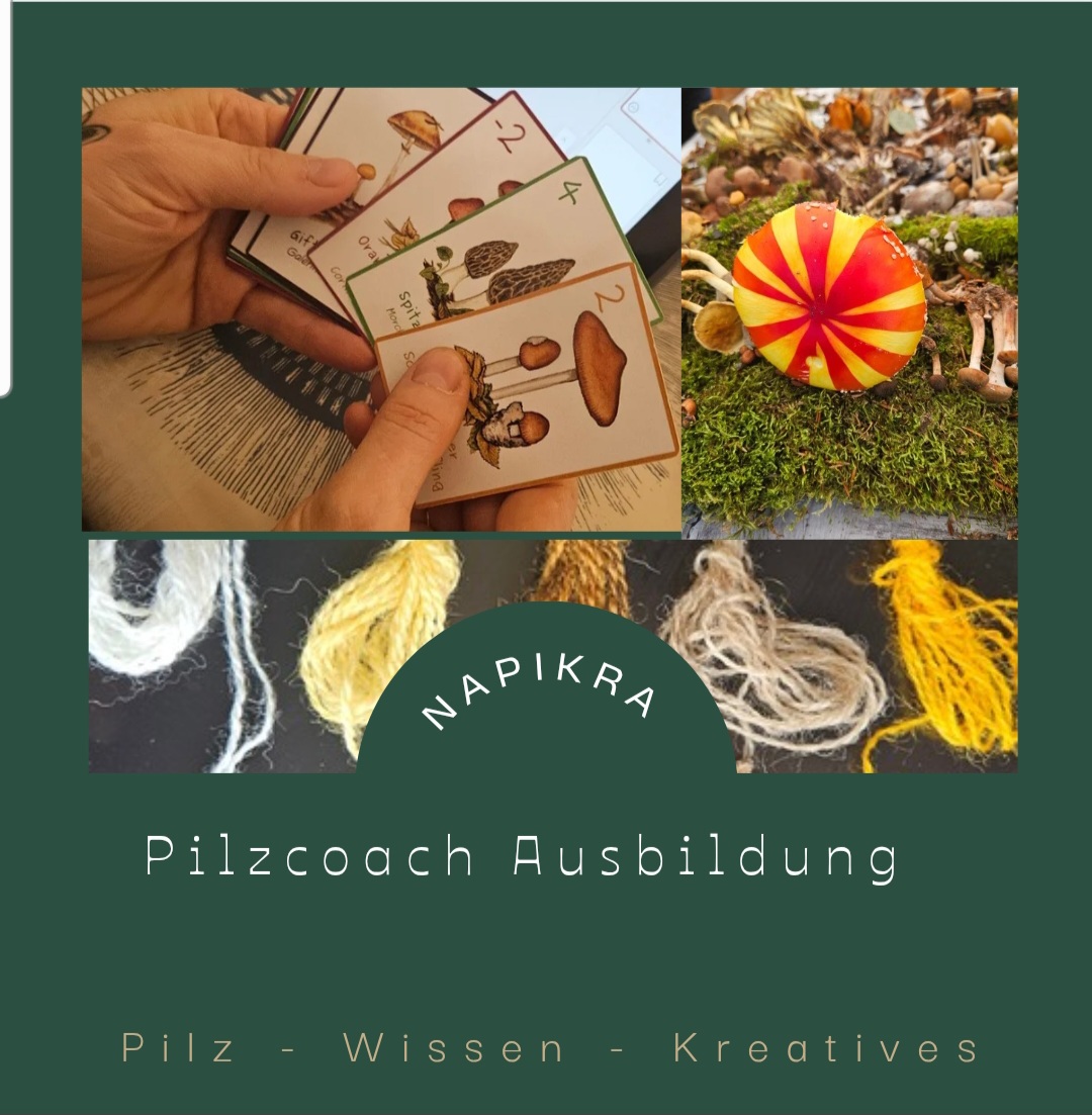 Pilzkartenspiel, mit Pilzen gefärbte Wolle