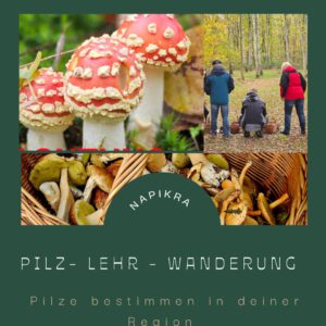 Pilzlehrwanderung 2026 - Herbstpilze