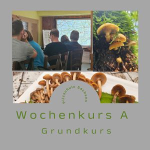 Doppelkurs - A - Wochenkurs