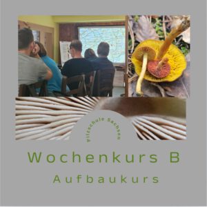 Doppelkurs - B - Wochenkurs