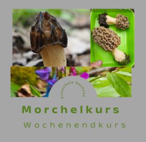 April in Sachsen & Bayern