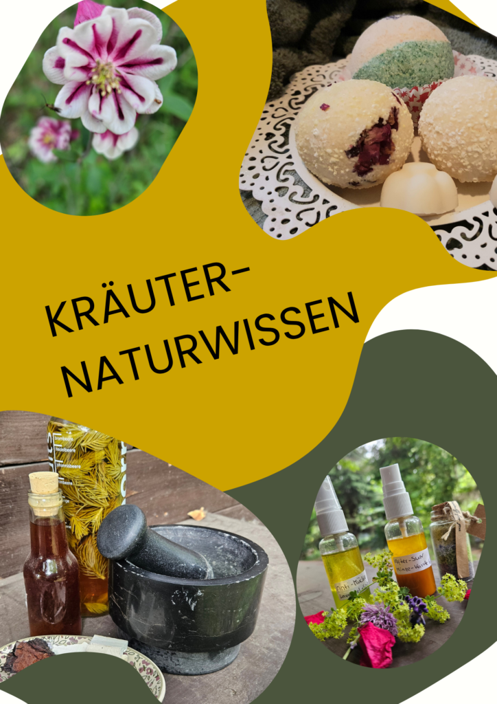 Kräuter, Öle und Naturkosmetik – Symbolbild für Kurs Kräuter‑Naturwissen bei Napikra