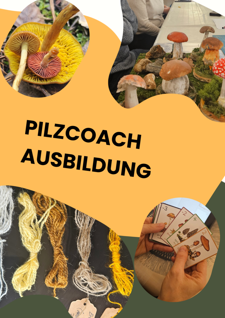 pilzcoach ausbildung mit napikra