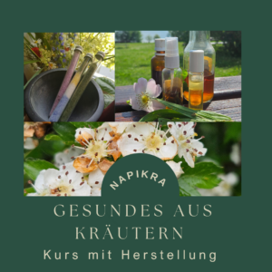 gesundes aus Kräutern selbst herstellen